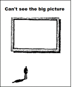 cant see the big picture